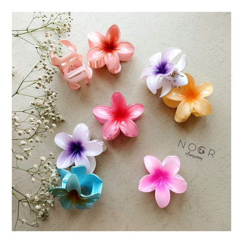 خرید کلیپس پلومریا