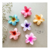 قیمت کلیپس پلومریا