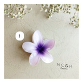 کلیپس پلومریا بزرگ