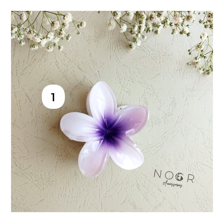 کلیپس پلومریا بزرگ