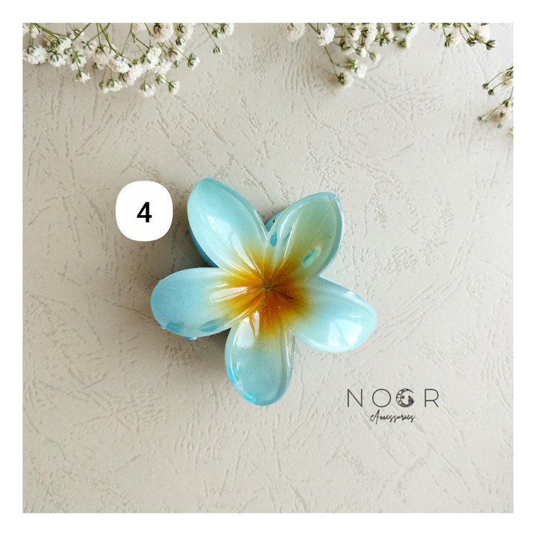 کلیپس پلومریا ابی