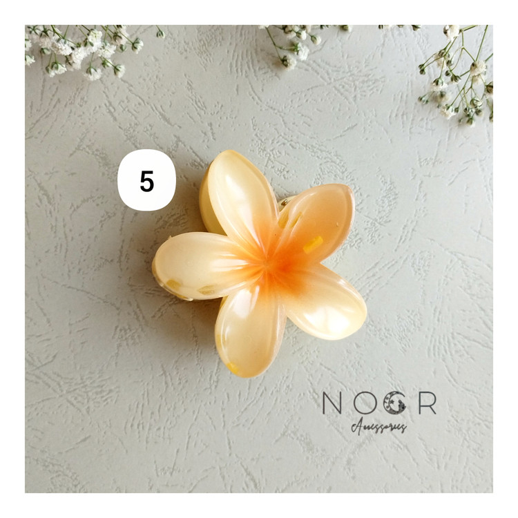 کلیپس پلومریا سفید